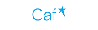logo_Caf.png
