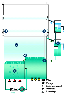 Machine de nettoyage immerssion + ultrason et phase vapeur - Cycle produit